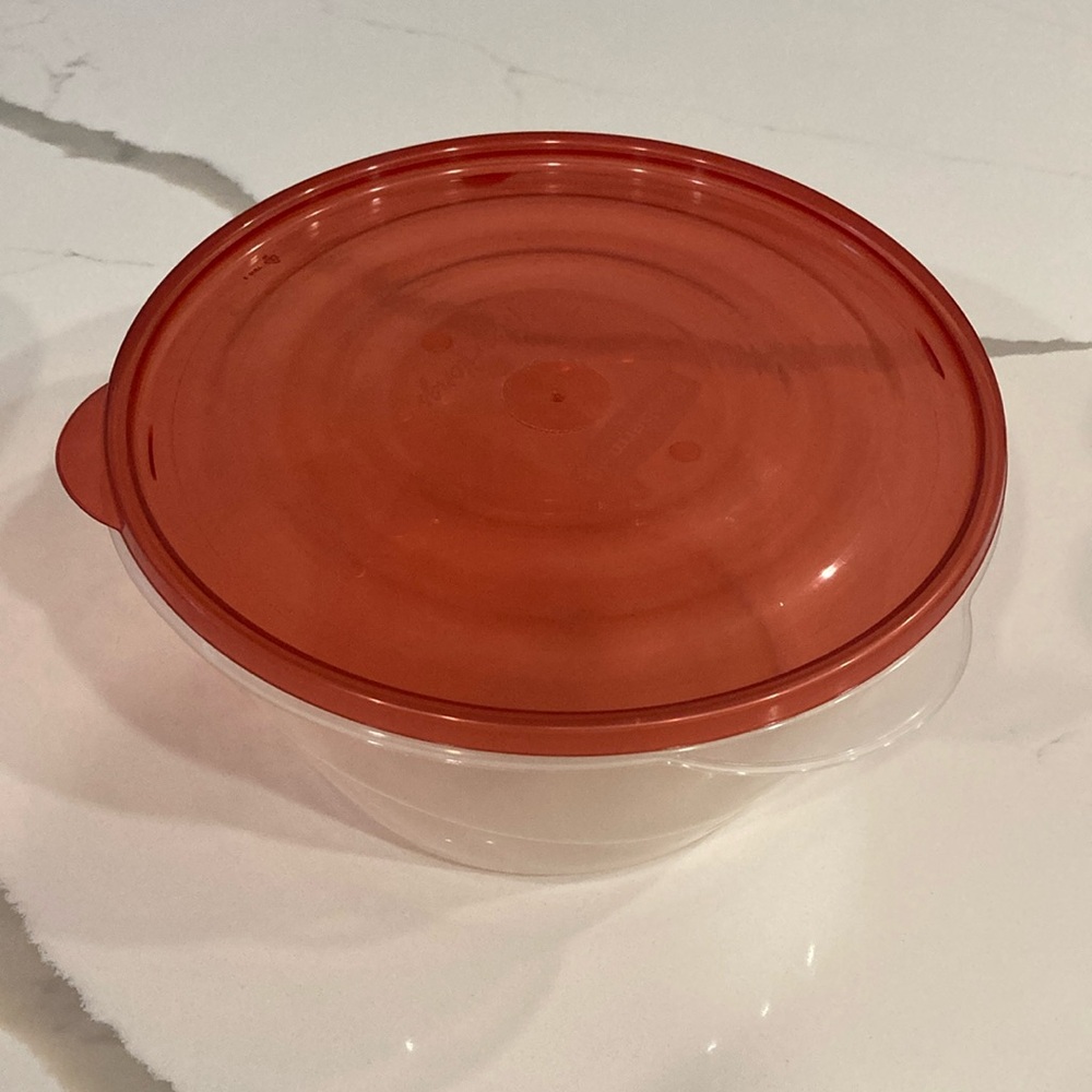 Rubbermaid Clear and Red Food Storage Bowl